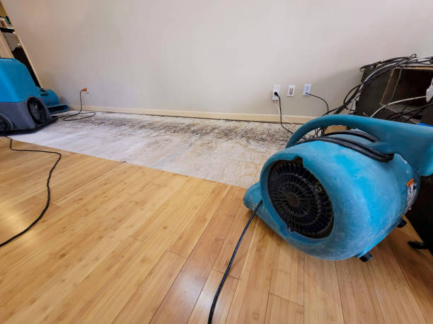 Professional Ceiling Water Damage Repair technician working in Glenn Dale, MD